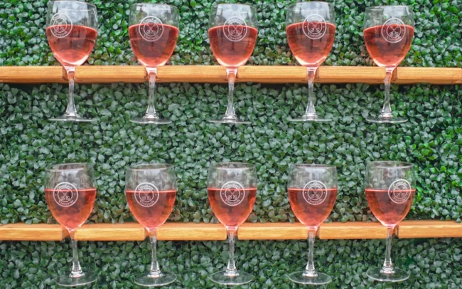 Wall of wine glasses